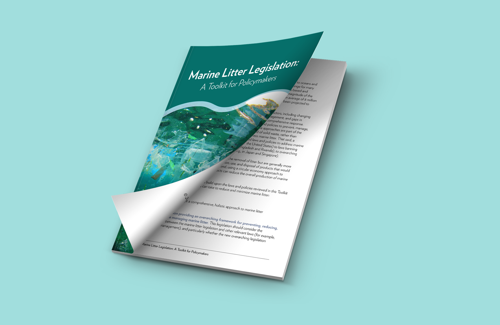 Marine Litter Legislation